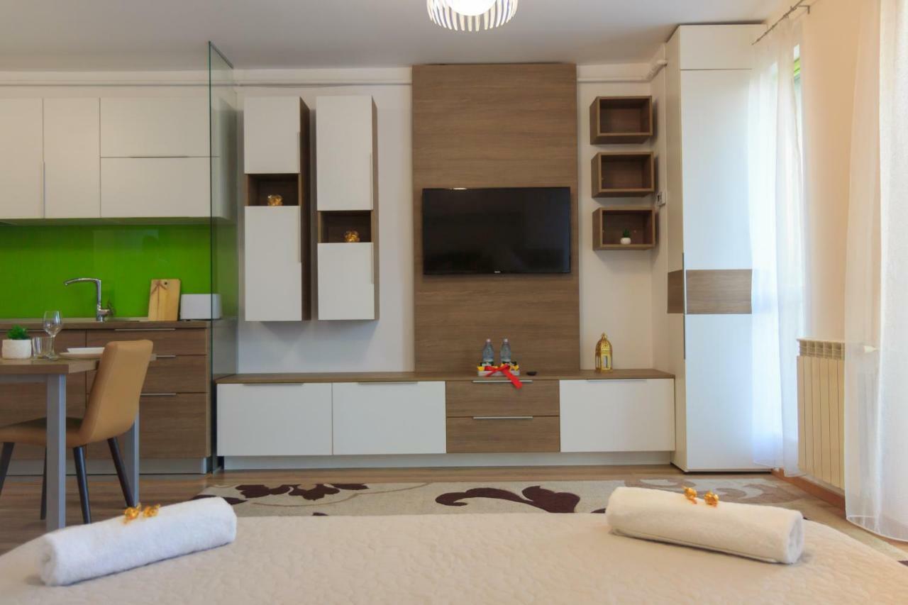 Gold Class Apartment Ams 63 Κλουζ-Ναπόκα Εξωτερικό φωτογραφία